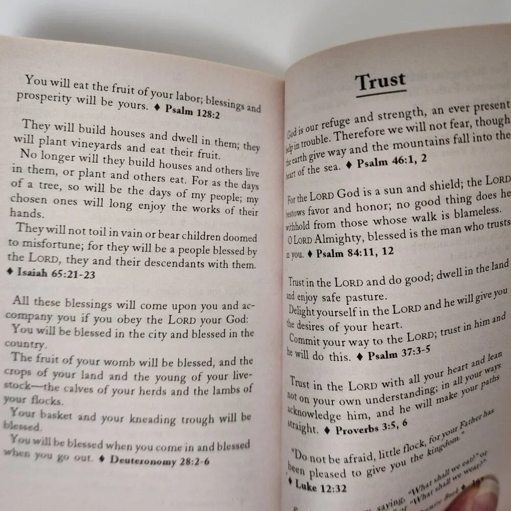 The Bible Promise Book: 1.000 Promises from Gods treasured resource